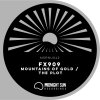 Fx909 - Mountains Of Gold / The Plot (2026) [FLAC]