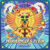 Dj Bim, Drukverdeler - Icarus (2026) [FLAC]
