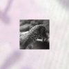 Backbone - One (2024) [FLAC]