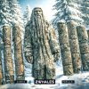 2Whales - Syberia, Parallel (2026) [FLAC]