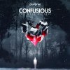 Confusious - You Make Me Feel LP (2018) [FLAC] download