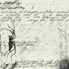 Jolliffe, Evabee - Moving On 2.0 (2025) [FLAC]