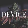 Rene Lavice - Budz (2021) [FLAC]