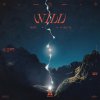 Slippy, Rico 56 - Will (2024) [FLAC]
