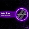 Turker Ozsoy - My Heart Went Boom (2026) [FLAC]