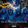 Zigi Sc, Prdk, Phenom, Discharge - Punisher (2025) [FLAC]