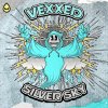 Vexxed - Silver Sky (Edit) (2025) [FLAC]