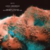 Luis M, Greenwolve - Cosmorph Remixes (2024) [FLAC]