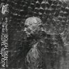 Augusto Taito - Rough Skin (2025) [FLAC]