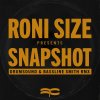 Roni Size - Snapshot (Drumsound & Bassline Smith Remix) (2026) [FLAC]