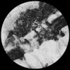 Facing Jinx - Dont You Want Me (2024) [FLAC]