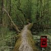 Tom Finster, Cuepric, Novalu - Left Room (2026) [FLAC]