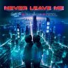 Crystal Rock, Tatsunoshin, S3Rl - Never Leave Me (2024) [FLAC]