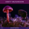 Marsfinder - Dirty Mushroom (2026) [FLAC]