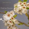 Dechico - Find An Excuse (2026) [FLAC]