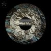 Florian Meindl - Overexposure EP (2026) [FLAC]