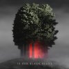 Bjoern Torwellen - 10.000 Black Seeds (2024) [FLAC]