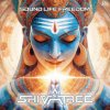Shivatree - Sound Life Freedom (2026) [FLAC]