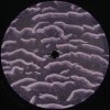Muzmin - Boojum (2026) [FLAC]