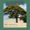 Tong8 - Buddha Soul EP (2024) [FLAC]