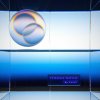 Primitive Instinct - My Ocean (2025) [FLAC]