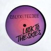 Calyx & Teebee - Look to the Skies (2019) [FLAC]