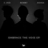 Bobby, C-Joo, Ashka - Embrace The Void EP (2024) [FLAC]