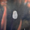 Marco Bailey - Density EP (2025) [FLAC]