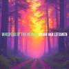 Arjan Van Leeuwen - Whispers Of The Nebula (2025) [FLAC]