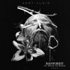 Rainforest - As Above So Below (2025) [FLAC]