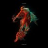 Slwdwn - Persona (2024) [FLAC]
