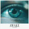 Volition - Awake (2024) [FLAC]