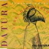 Datura - Yerba Del Diablo (The Datura Ep) (1992) [FLAC]