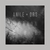 Anile, Drs - Workin Dub (2026) [FLAC]