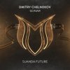 Dmitry Chelnokov - Sonar (2026) [FLAC]