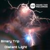 Binary Trip - Distant Light (2025) [FLAC]