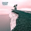 Calyx & Teebee - Fabriclive 76 (2014) [FLAC]