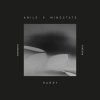 Anile, Mindstate - Harry (2025) [FLAC]