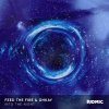 Feed The Fire, Ohkay - Into The Night (2026) [FLAC]