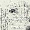 Jolliffe, Tokyo Prose, Sleazy F Baby - In The Air (2025) [FLAC]