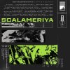 Scalameriya - Ecdysis (2025) [FLAC]