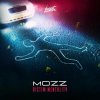 Mozz - Victim Mentality (2022) [FLAC]
