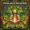 Shivatree, Starlab (In - In the Jungle (2025) [FLAC]