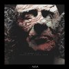 Monococ, Roman Adam - Cinematic (2024) [FLAC]