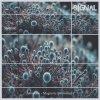 Asmodeo - Magnetic Innocence (2025) [FLAC]