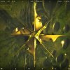 The Upbeats, What So Not, Stace Cadet - Wanted (2026) [FLAC]