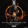 Xylym, Neuroheadz Live!, Ash, Rushton - Critical Mass EP (2025) [FLAC]
