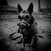Ian Axide - Rupture EP (2025) [FLAC]
