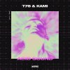 T78, Kami - Acid Sound (Edit) (2026) [FLAC]