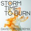 Storm - Time to Burn (David Forbes Remix) (2025) [FLAC]